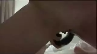 جلسة بورن فردية: لعب بالدسار والأكمام للإفراج النشوي الحقيقي