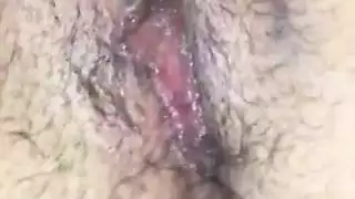 الحمار لطيفة من العراق