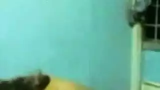 هزة الجماع الحقيقية تدليك مثلية فتاة في البيت المجاور