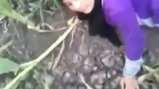 سكس شرجي ووضعية كلب للمحجبة في العلن