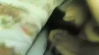 مشاهدة افلام الممثله نايلة المصرية