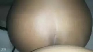 الصفحة الرئيسية البرتغالية الكلبة