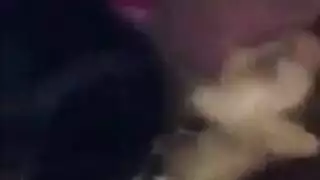 كس تمتد البريء هواة عرقي الجنس