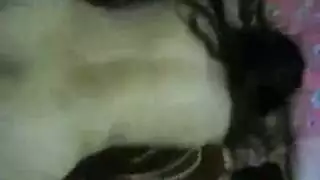 شرع هرم