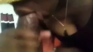بطل الديك ، بطل الديك ، بطل الديك بطل الديك