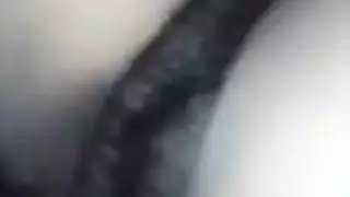 الهرة الكبيرة عروس بريطاني