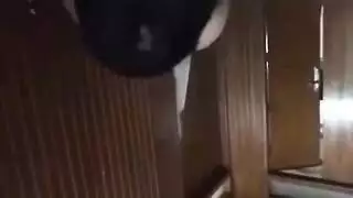 فيديوات للزوجه المثاليه والصالحه