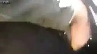 مصرية تتفرش وتمص