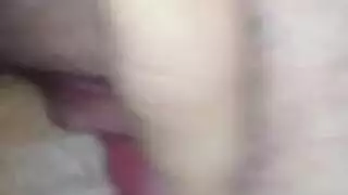 عذراء راعية البقر العكسي