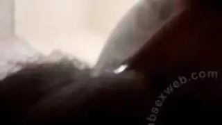 سكس بلهجة جزائرية نيك