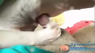 تجميع النشوة تجميع بخ الأسود واليابانية
