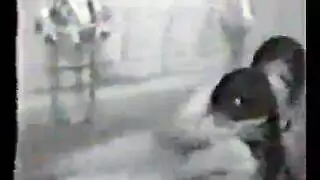 سكس سحاقيات عربيات: بنات مومسات يتبادلن القبلات المبللة والمقص بشدة